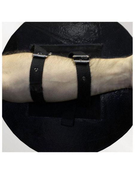 Scudo in lattice per LARP