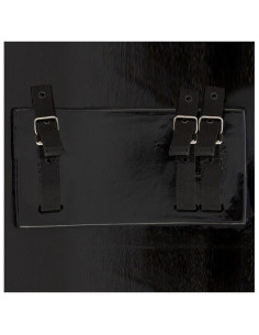 Scudo in lattice per LARP 2