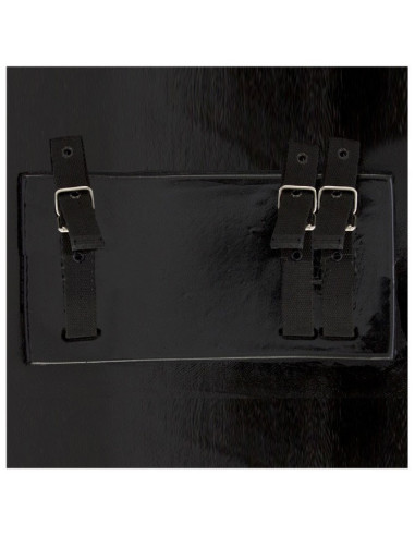 Scudo in lattice per LARP