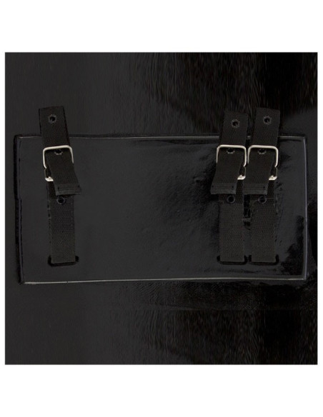 Scudo in lattice per LARP