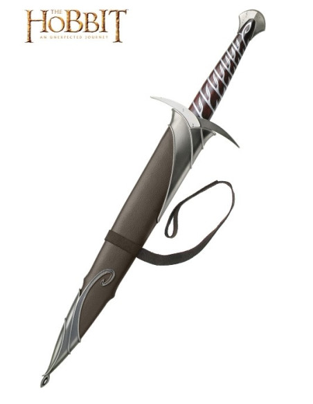 Fodero ufficiale della spada...