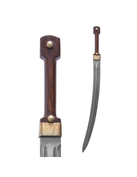 Sciabola russa con fodero