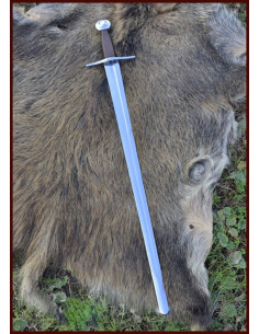Spada da addestramento a una mano 2