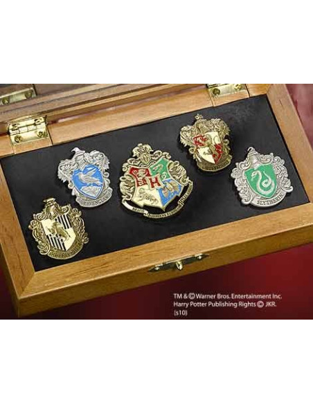 Pins scuole Hogwarts, Harry Potter