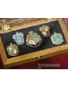 Pins scuole Hogwarts, Harry Potter