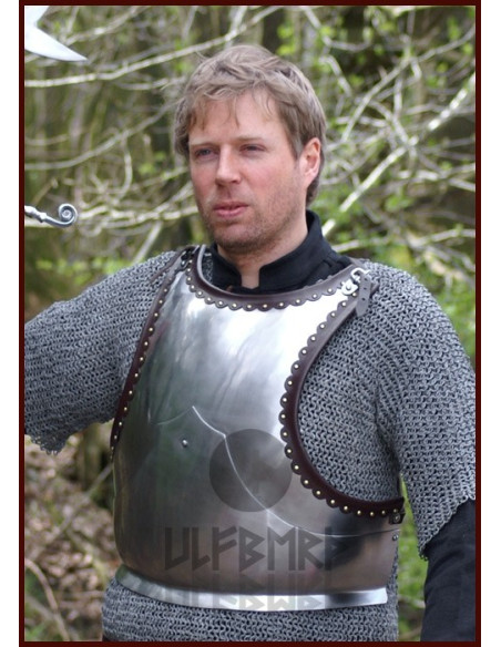 Pettorale in acciaio (1,6 mm.)