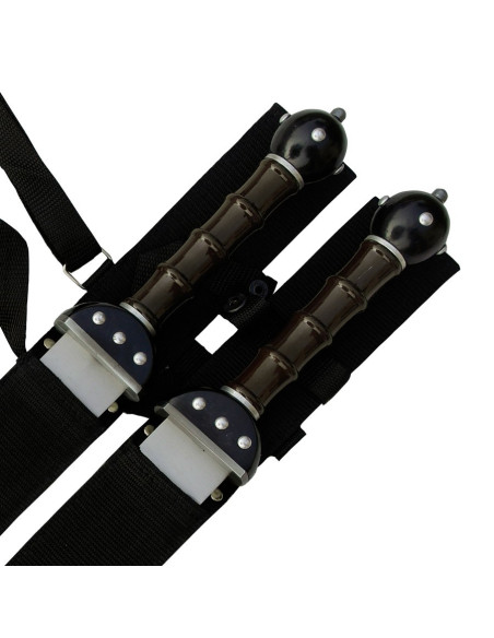 Set 2 fantastici Gladius da appendere