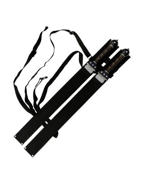 Set 2 fantastici Gladius da appendere
