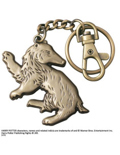 Portachiavi Tassorosso, Harry Potter 2