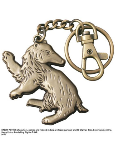 Portachiavi Tassorosso, Harry Potter