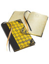 Diario di Harry Potter Tassorosso