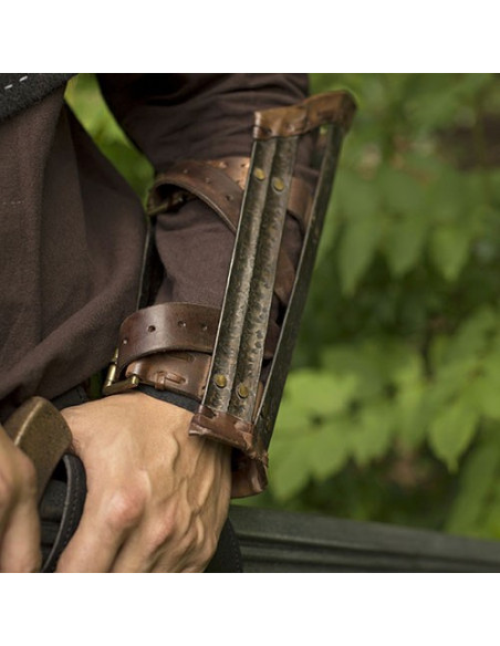 protettori del braccio vichingo