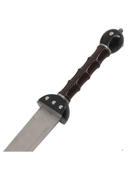 Set 2 fantastici Gladius da appendere