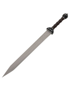 Set 2 fantastici Gladius da appendere 2