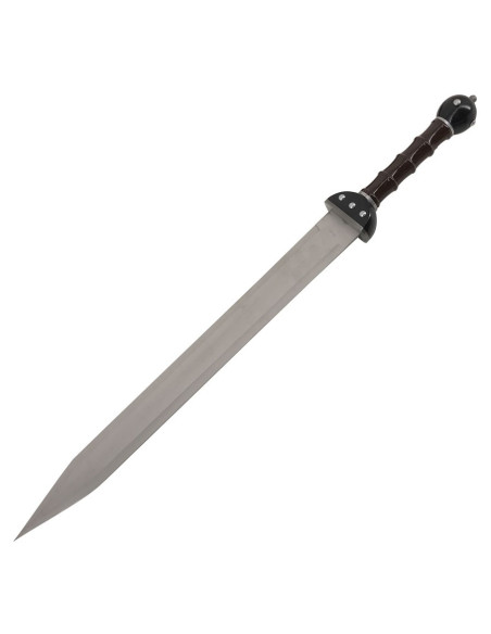 Set 2 fantastici Gladius da appendere