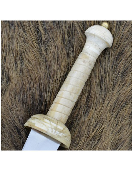 Pugnale da gladiatore di Pompei Pugnale da gladiatore di Pompei