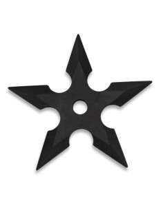 Ninja a cavalcioni per l'allenamento