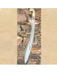 Falcata Circa Funzionale 2