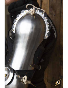 Spalline del paladino