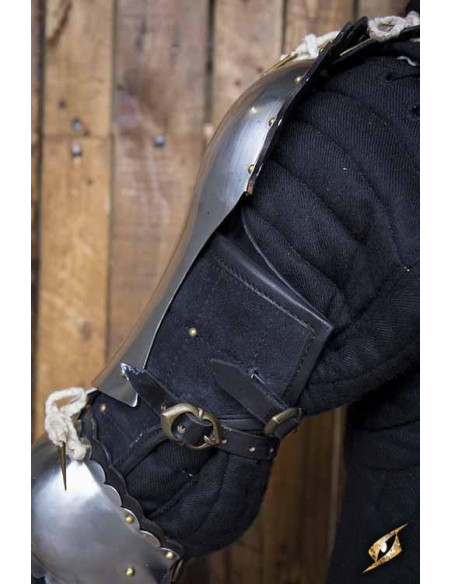 Spalline del paladino