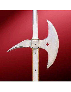 Lancia da battaglia medievale