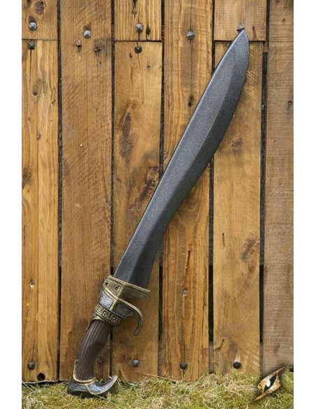 Falcata iberica LARP