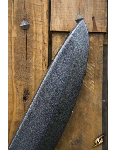 Falcata iberica LARP