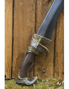 Falcata iberica LARP