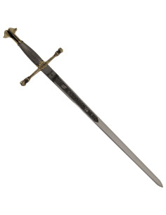 Spada d'oro Carlos V, cadetto