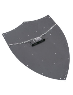 Scudo nero Castilla y León 2