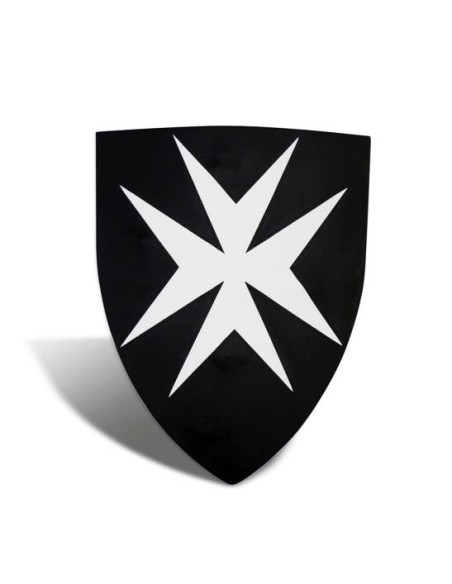 Scudo ospedaliero funzionale, 50x60 cm.