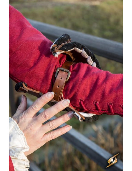 Guerrero Noble Spalle