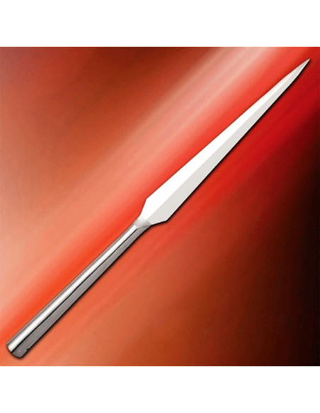 punta di lancia da lancio