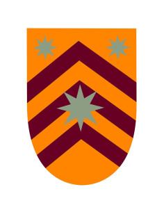 Stendardo medievale Stelle sulle sbarre