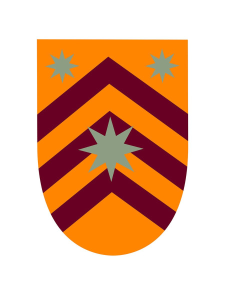 Stendardo medievale Stelle sulle sbarre