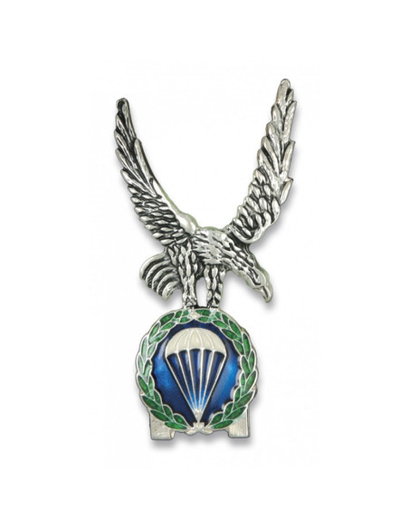 Distintivo di permanenza BRIPAC