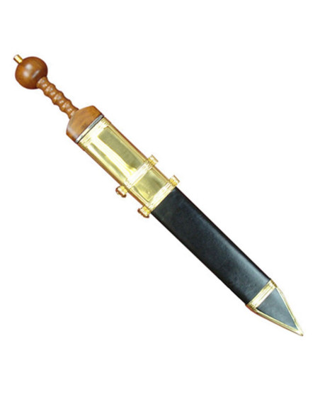 Gladius Pompei antico esercito...