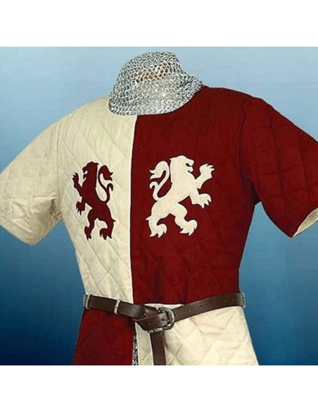 Barone medievale dei leoni di Gambeson