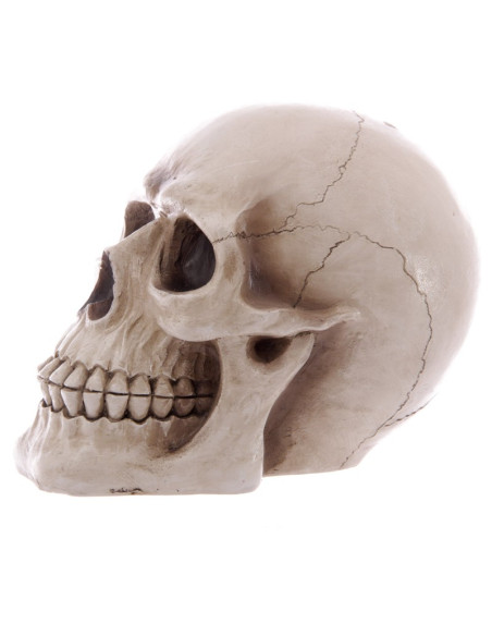 Salvadanaio Teschio di salvare i tuoi...