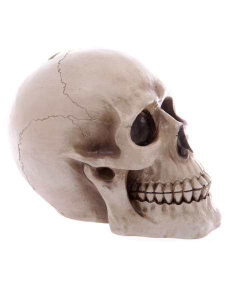 Salvadanaio Teschio di salvare i tuoi...