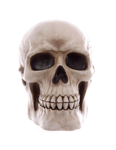 Salvadanaio Teschio di salvare i tuoi...