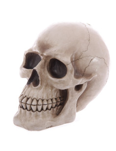 Salvadanaio Teschio di salvare i tuoi risparmi