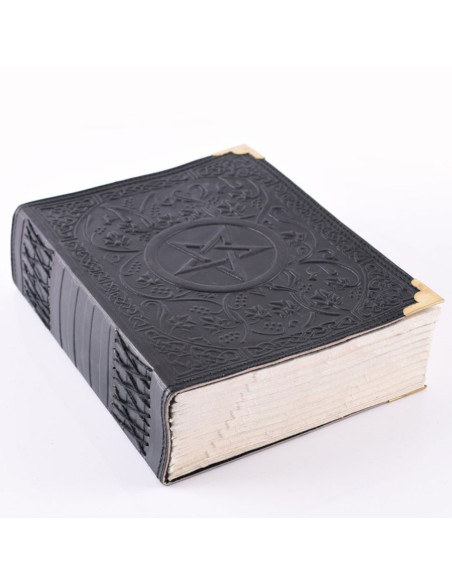 Diario medievale con pentagramma