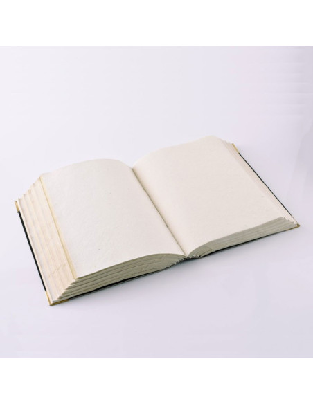 Diario medievale con pentagramma