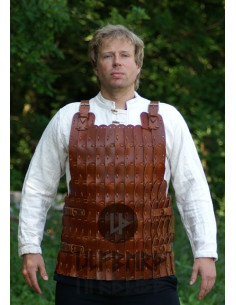 Armatura placcata in pelle