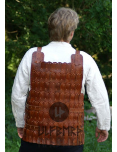 Armatura placcata in pelle 2