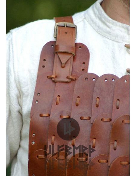 Armatura placcata in pelle