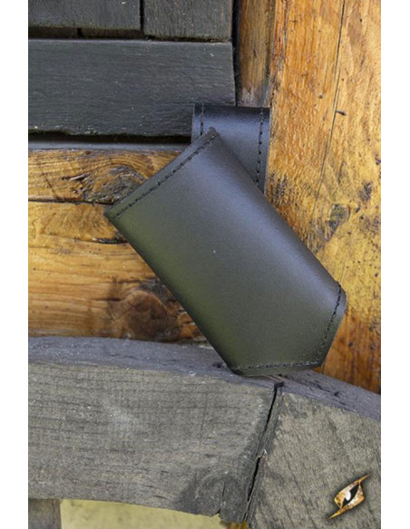 Avventuriero medioevale Baldric, a...