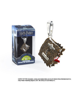 Ciondolo Monster Book of Monsters, Lumos, Harry Potter