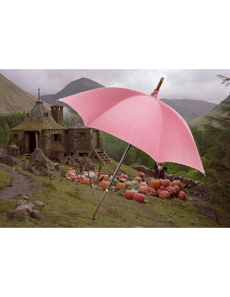 Replica ufficiale dell'ombrello di...